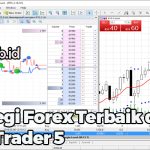 Strategi Forex Agar Cepat Berkembang Panduan Komprehensif Untuk Trader Pemula Dan Menengah