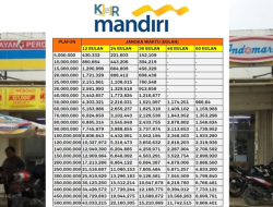 Analisis Komprehensif: Berapa Keuntungan Franchise Indomaret dan Cara Menghitung Proyeksi Finansialnya