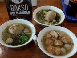Analisis Potensi Keuntungan Franchise Bakso Malang: Panduan Finansial Lengkap untuk Investor Pemula