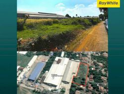 Mengapa Kawasan Industri Sepi? Analisis Faktor, Risiko, dan Strategi Bisnis