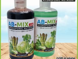 Mengenal Apa itu Budidaya Hidroponik Nutrisi AB Mix: Panduan Komprehensif, Potensi Bisnis, dan Analisis Risiko