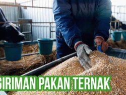 Mengenal Apa Itu Pakan Tambahan Ternak: Definisi, Manfaat, dan Efisiensi Bisnis Peternakan
