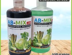 Mengenal Budidaya Hidroponik Nutrisi AB Mix: Konsep, Sistem Hara, dan Analisis Peluang Usaha