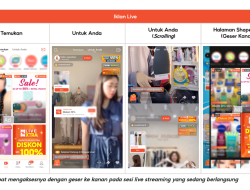 Panduan Komprehensif Shopee Ads: Strategi, Pelaksanaan, dan Manajemen Anggaran untuk Pelaku Usaha