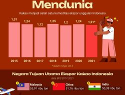 Panduan Lengkap: Bagaimana Cara Ekspor Coklat bagi Pelaku Bisnis dan UMKM