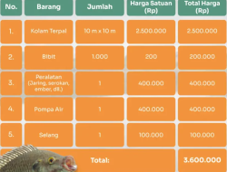 Panduan Lengkap: Berapa Modal Awal Ternak Ikan Mas dan Analisis Finansial Usahanya