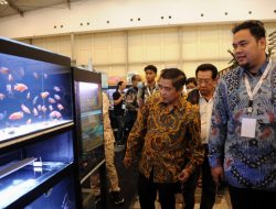 Panduan Lengkap Bisnis Logistik Akuatik: Bagaimana Cara Ekspor Ikan Hias bagi Pelaku UMKM