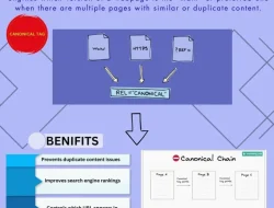 Panduan Lengkap Canonical Tag SEO: Pengertian, Manfaat, dan Strategi Penerapannya untuk Bisnis Digital