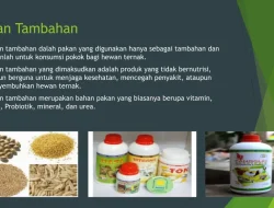 Panduan Lengkap Memahami Apa Itu Pakan Tambahan Ternak dan Dampaknya Terhadap Efisiensi Bisnis Peternakan