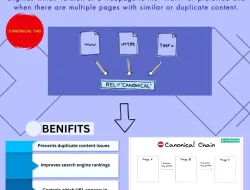 Mengenal Canonical Tag SEO: Panduan Lengkap Fondasi Teknis untuk Optimasi Website Bisnis